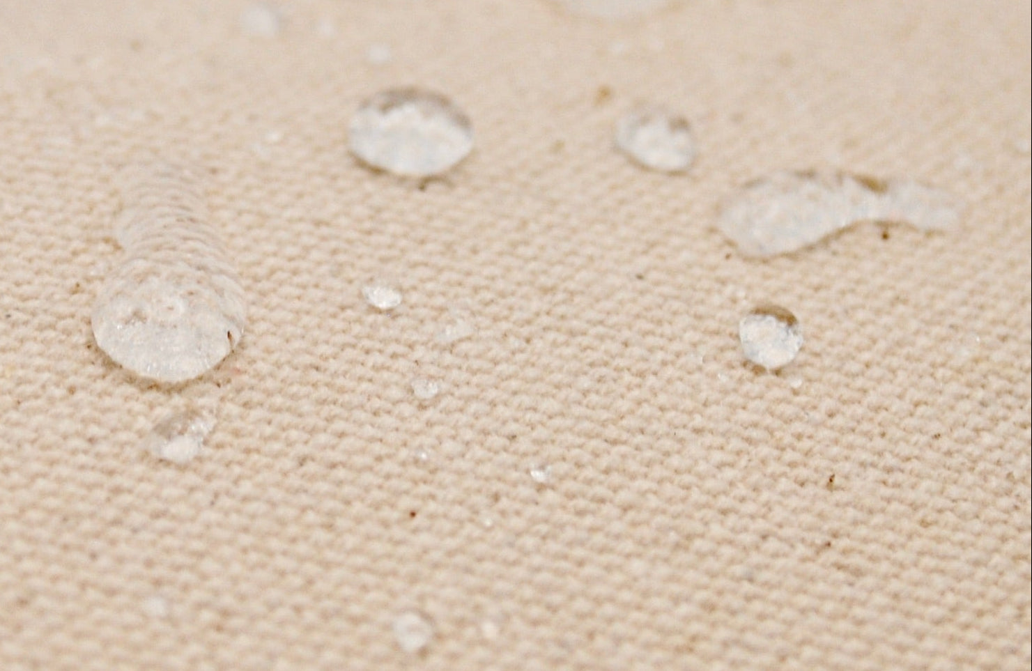 The Carryall (Signature Blockprint)